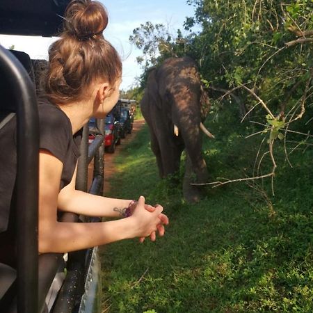 Lavender Home Yala Safari Tissamaharama Zewnętrze zdjęcie
