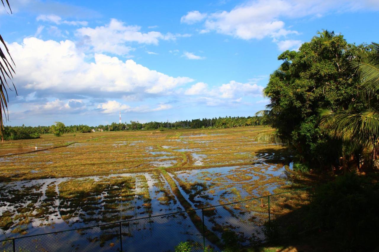 Lavender Home Yala Safari Tissamaharama Zewnętrze zdjęcie