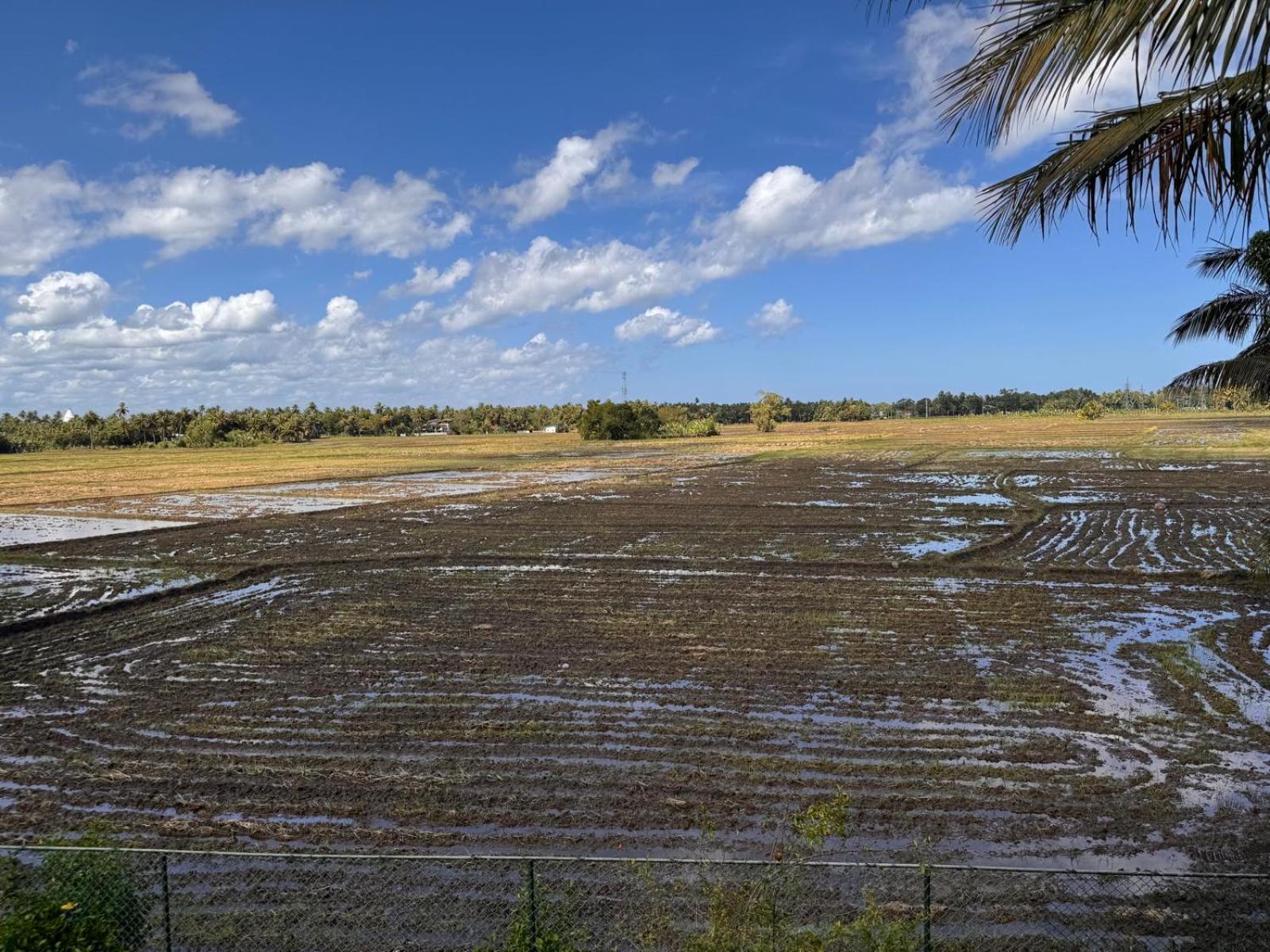 Lavender Home Yala Safari Tissamaharama Zewnętrze zdjęcie