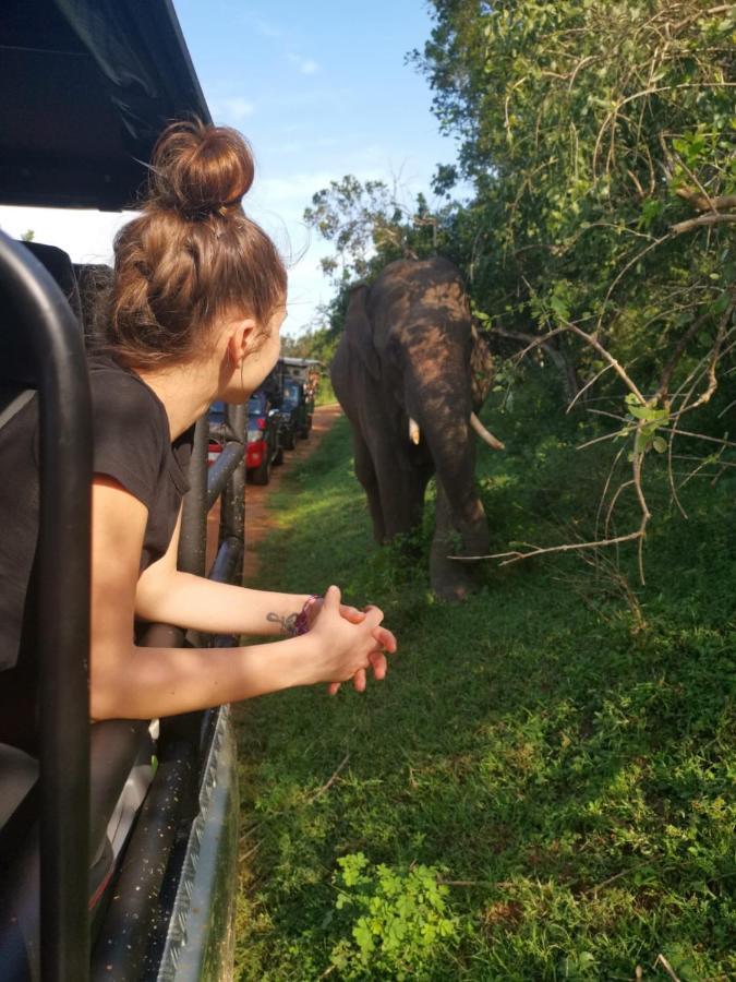 Lavender Home Yala Safari Tissamaharama Zewnętrze zdjęcie