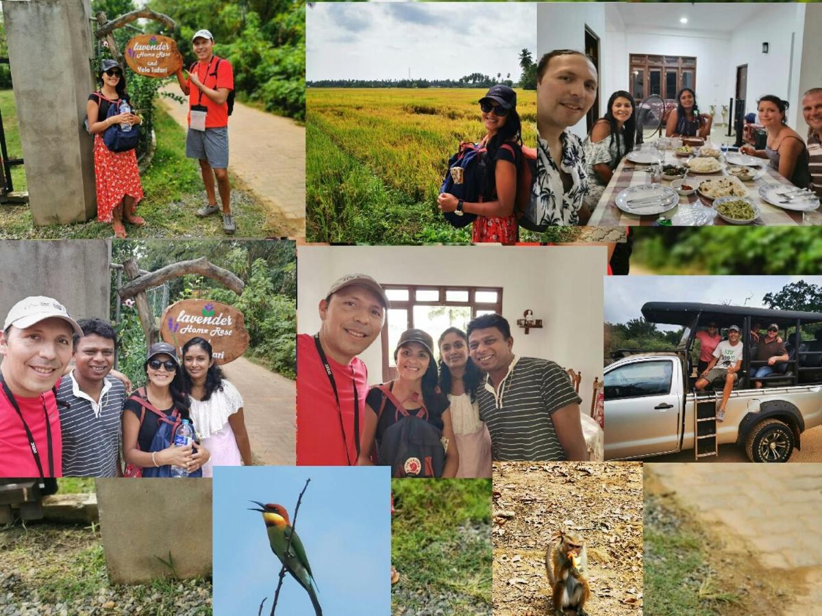 Lavender Home Yala Safari Tissamaharama Zewnętrze zdjęcie